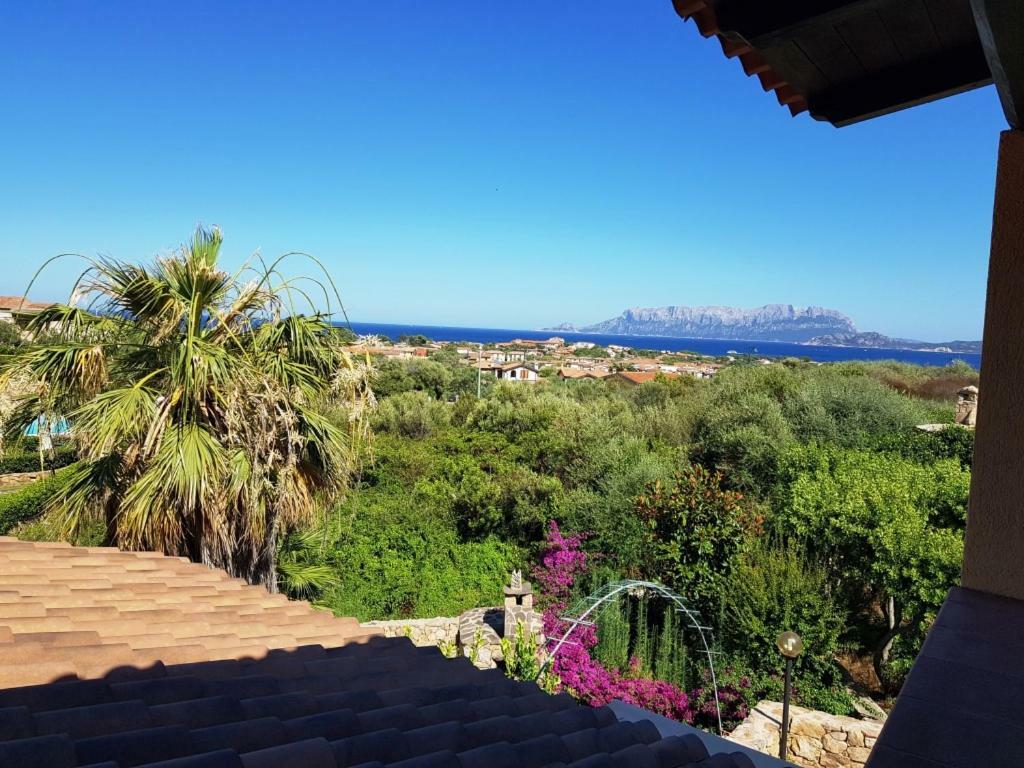 Villa Saba Olbia Exterior photo