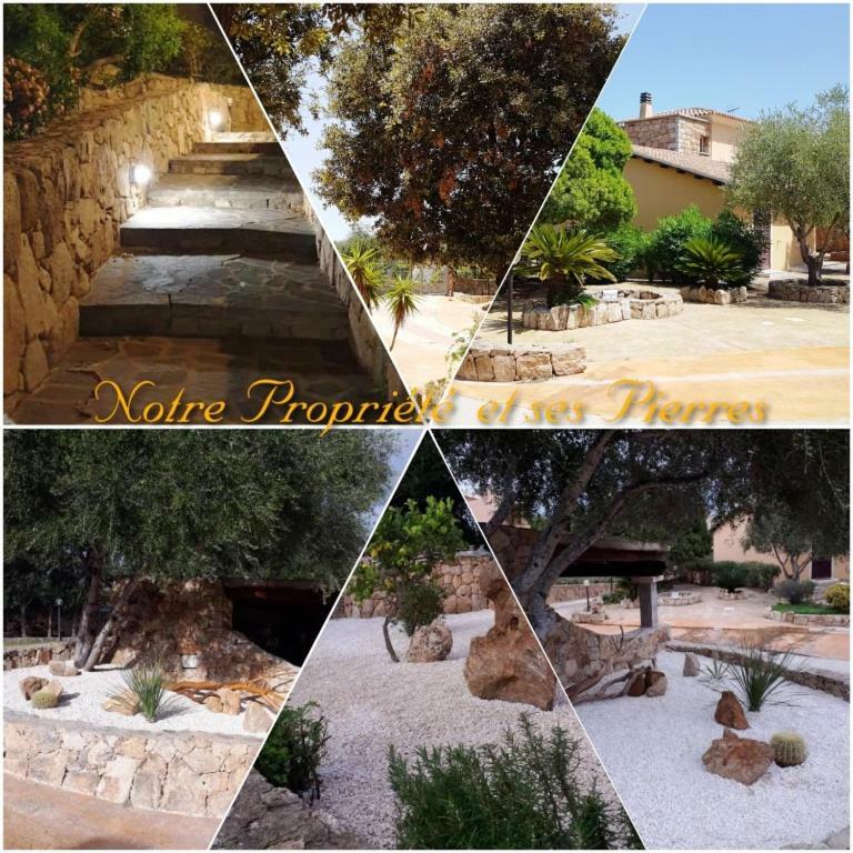 Villa Saba Olbia Exterior photo